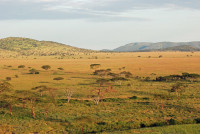 Serengeti National Park - Naabi Hill Gate